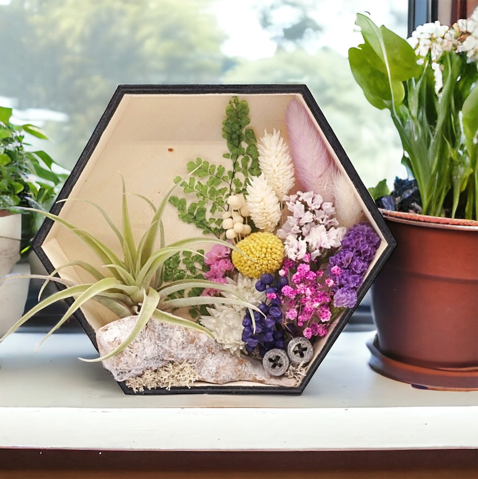 Airplant Art Frames - Hexagon Purple Flowers