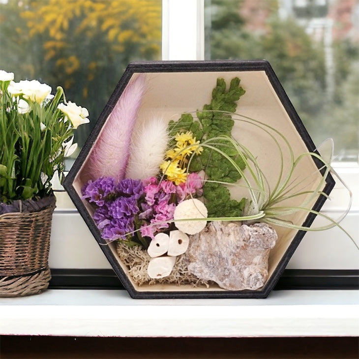 Airplant Art Frames - Hexagon Purple Flowers