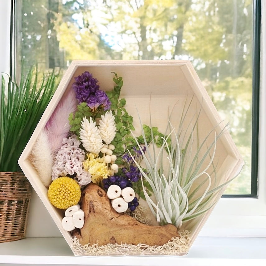 Hexagon wood box frame filled with dried purple flowers, moss, wood and an airplant