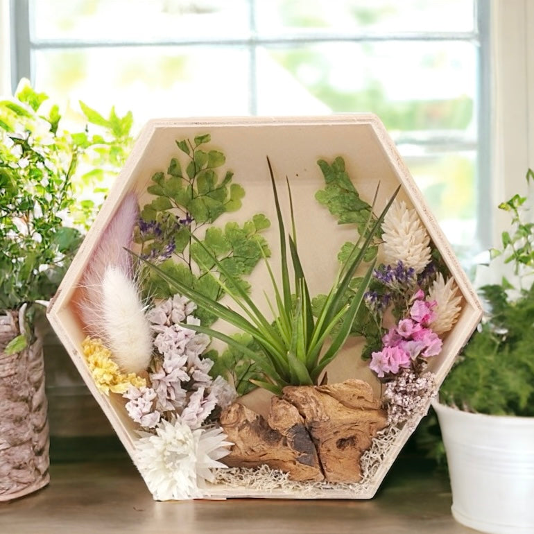 Hexagon wood box frame filled with dried purple flowers, moss, wood and an airplant