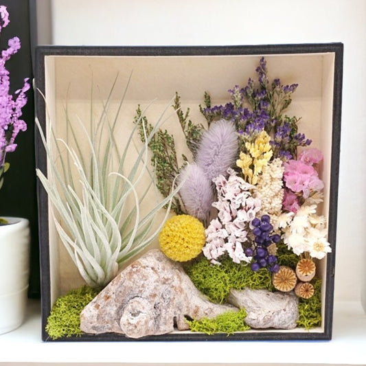 Airplant Art Frames - Black Square Purple Flowers