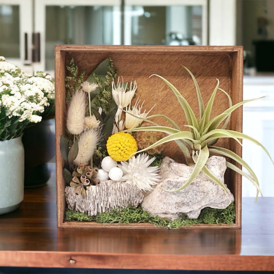 Walnut stained box frame filled with dried flowers, dried mushrooms, moss, wood and an airplant