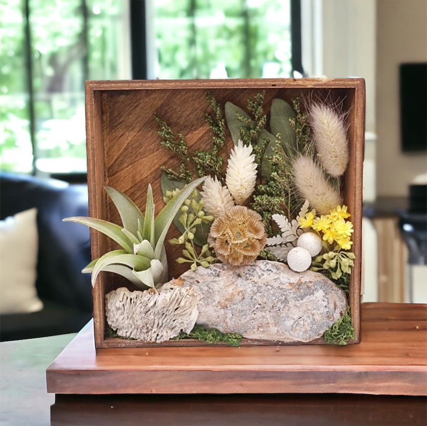 Walnut stained box frame filled with dried flowers, dried mushrooms, moss, wood and an airplant