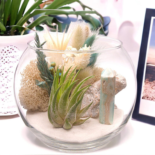 Terrarium à bol avec une plante aérienne - Calcite des Caraïbes