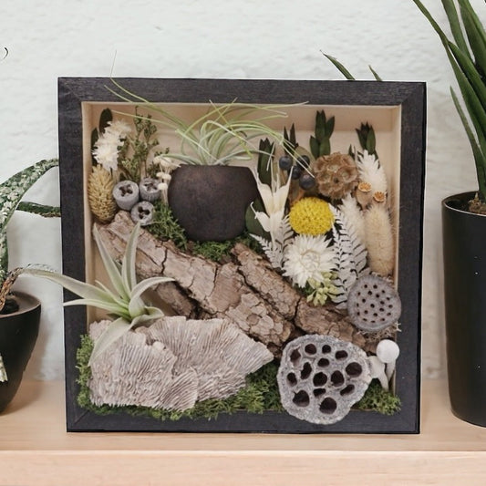 Black stained wooden frame filled with dried flowers, moss, dried mushrooms, dried flowers and real airplants
