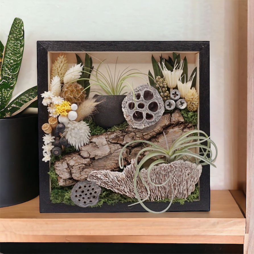Black stained wooden frame filled with dried flowers, moss, dried mushrooms, dried flowers and real airplants