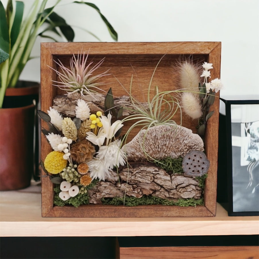 Walnut stained wooden frame filled with dried flowers, moss, dried mushrooms, dried flowers and real airplants