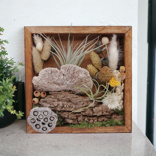 Walnut stained wooden frame filled with dried flowers, moss, dried mushrooms, dried flowers and real airplants