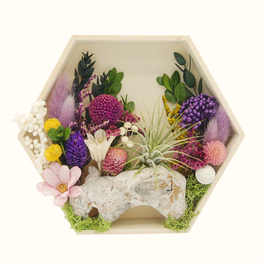 Cadres paysagers avec plante aérienne - Hexagone violet
