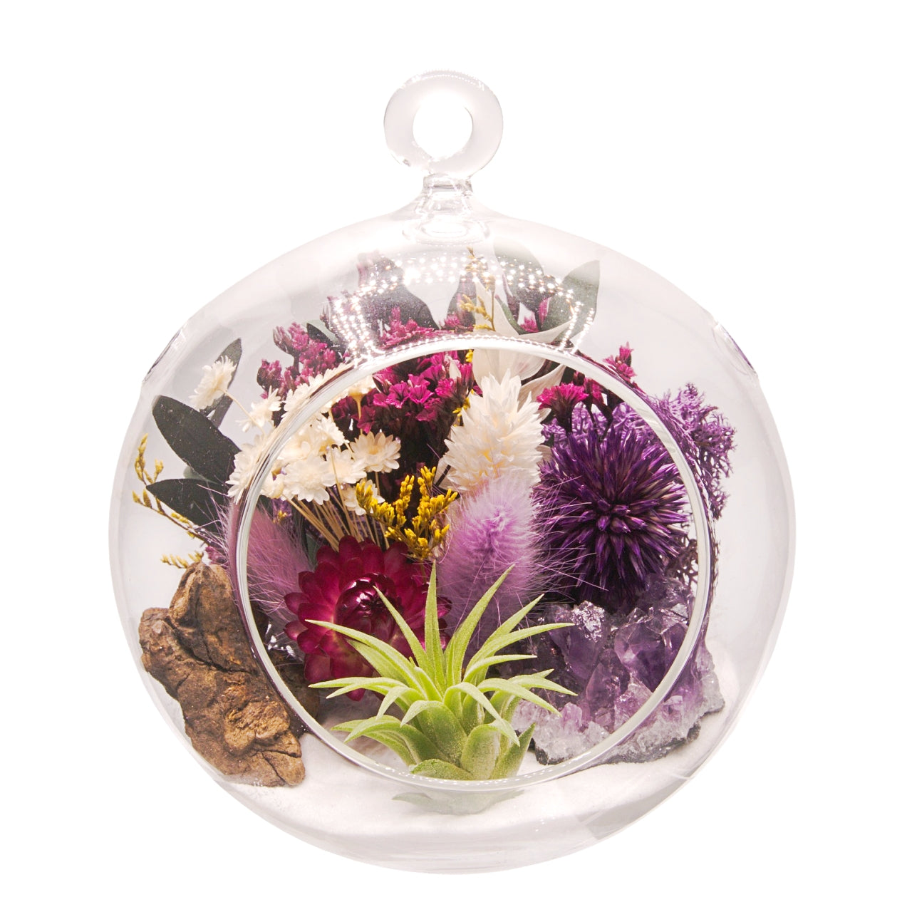Terrarium à bulle avec une plante aérienne et un cristal d'améthyst