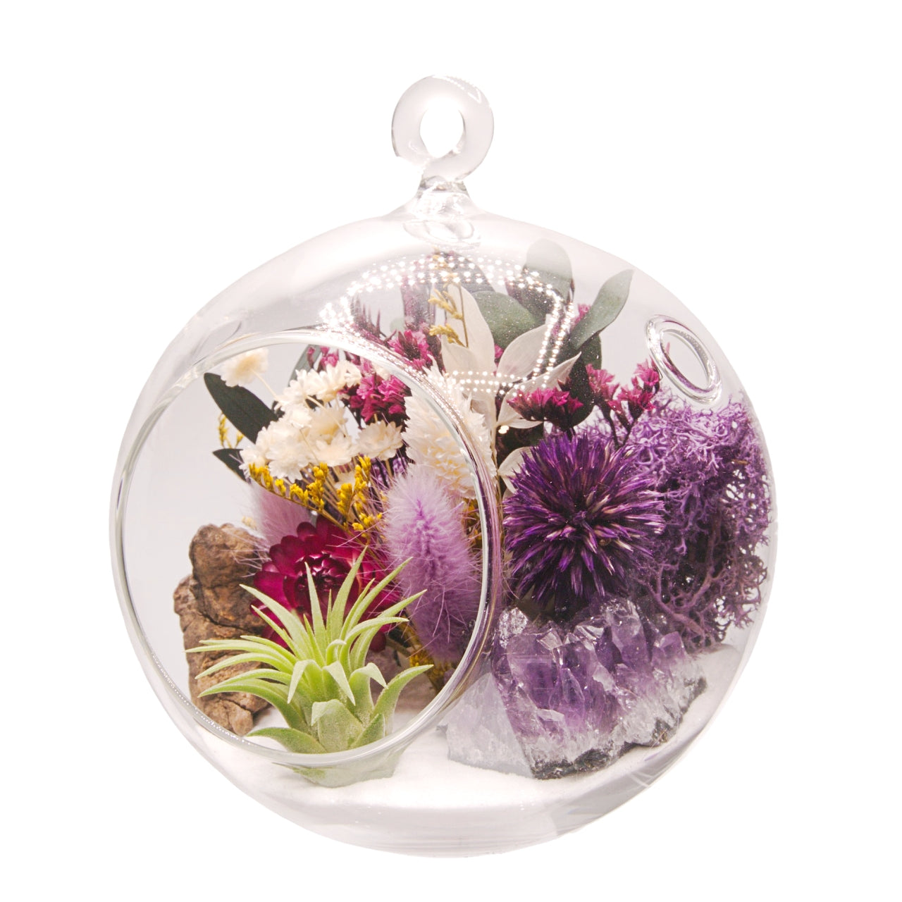 Terrarium à bulle avec une plante aérienne et un cristal d'améthyst