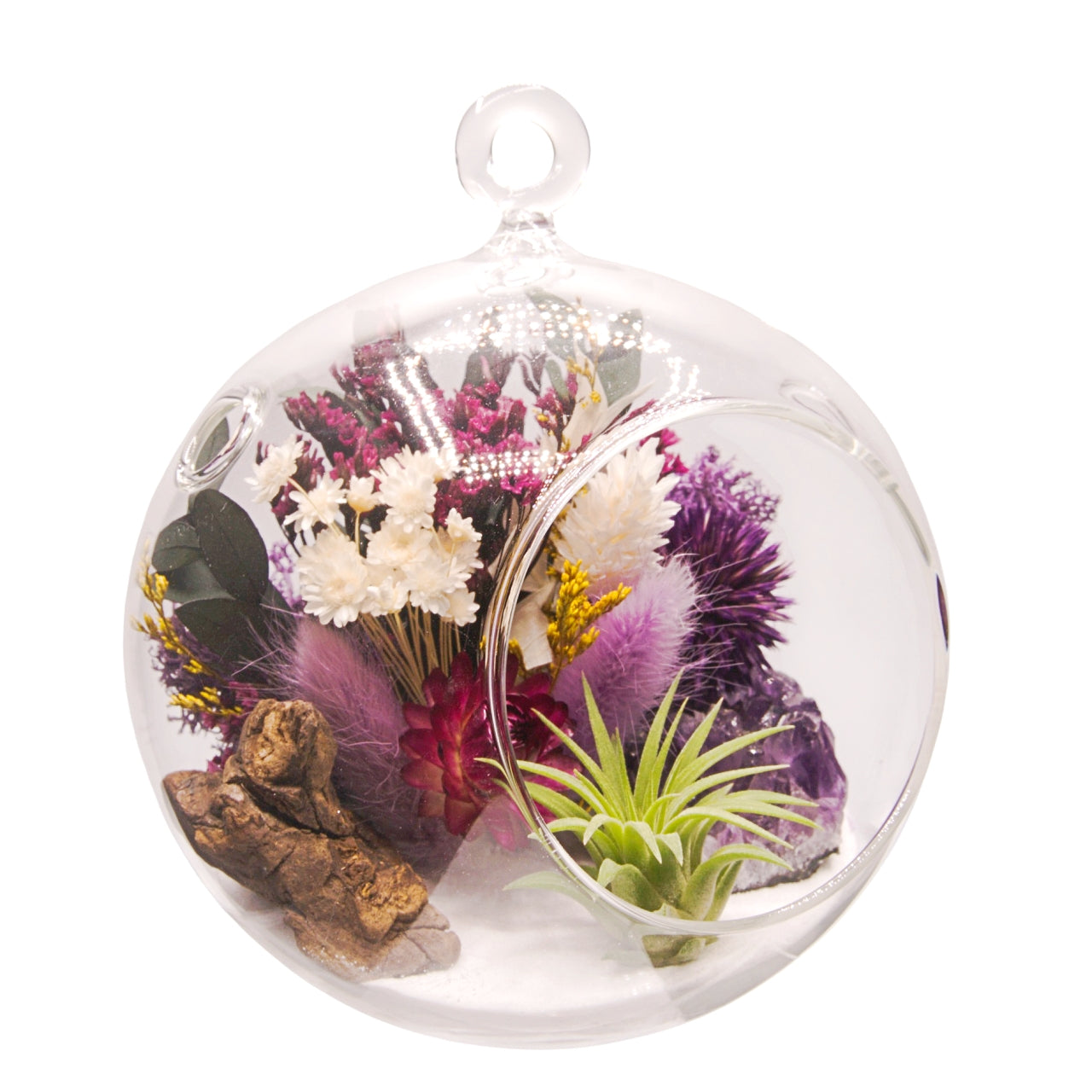 Terrarium à bulle avec une plante aérienne et un cristal d'améthyst