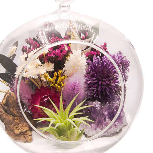 Terrarium à bulle avec une plante aérienne et un cristal d'améthyst