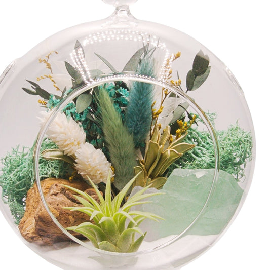 Terrarium à bulle avec une plante aérienne et un cristal fluorite vert