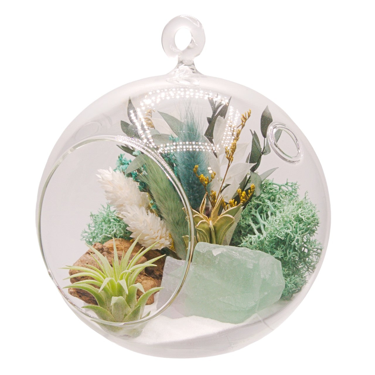 Terrarium à bulle avec une plante aérienne et un cristal fluorite vert