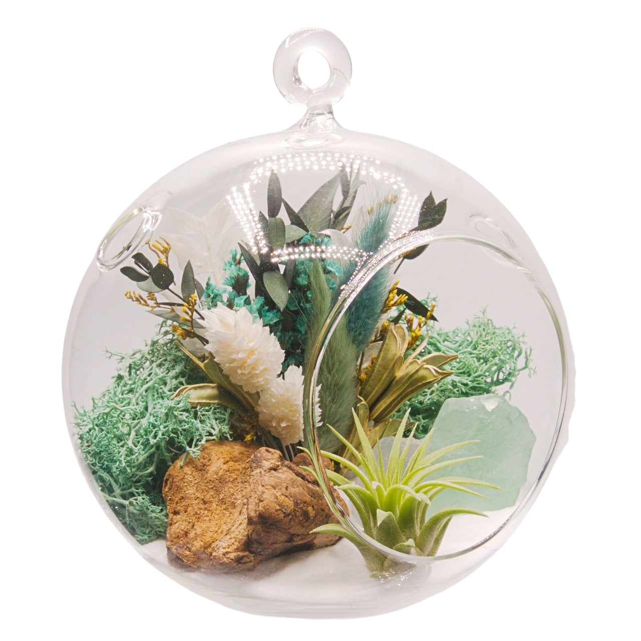 Terrarium à bulle avec une plante aérienne et un cristal fluorite vert