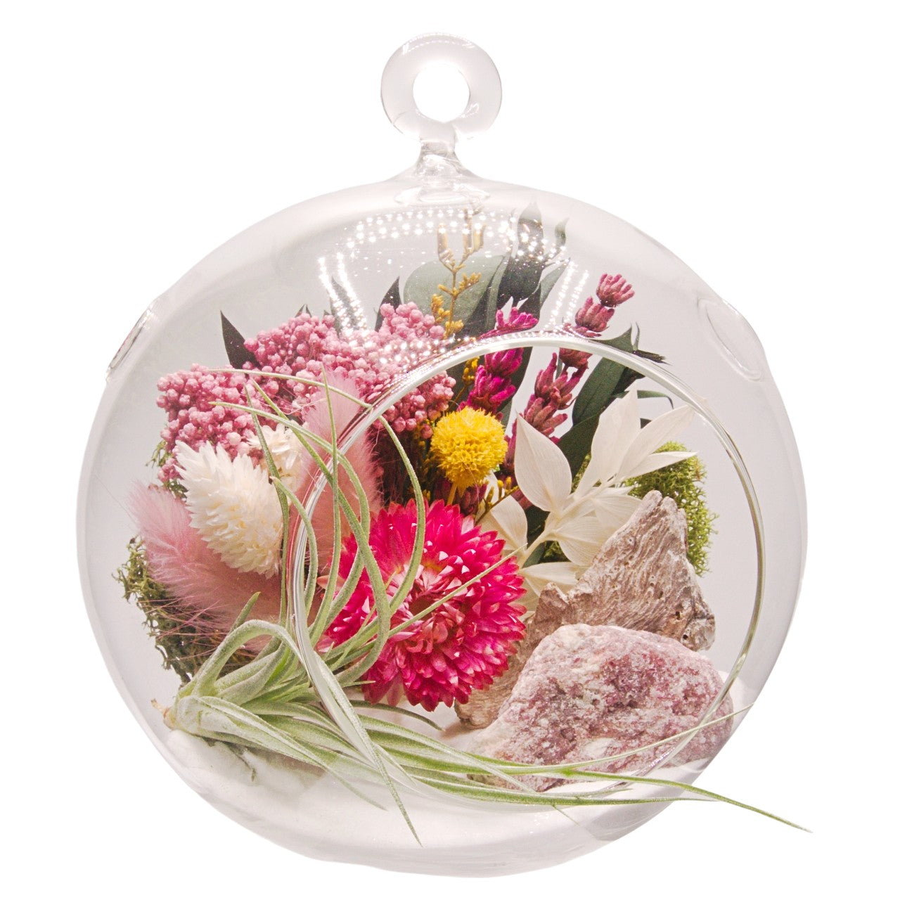 Terrarium à bulle avec une plante aérienne et un cristal rhodonite