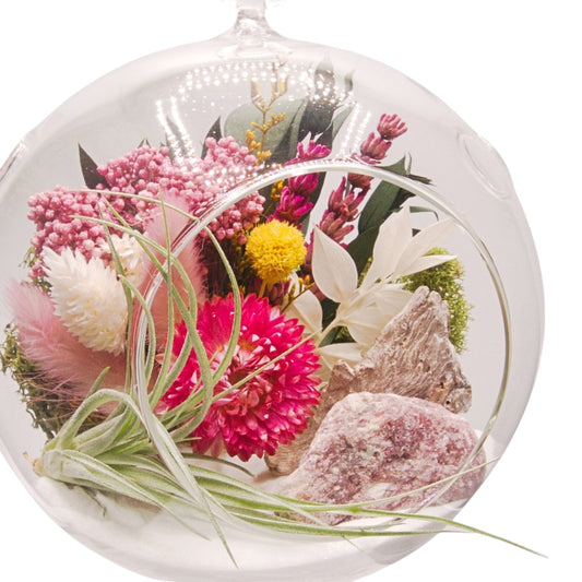 Terrarium à bulle avec une plante aérienne et un cristal rhodonite