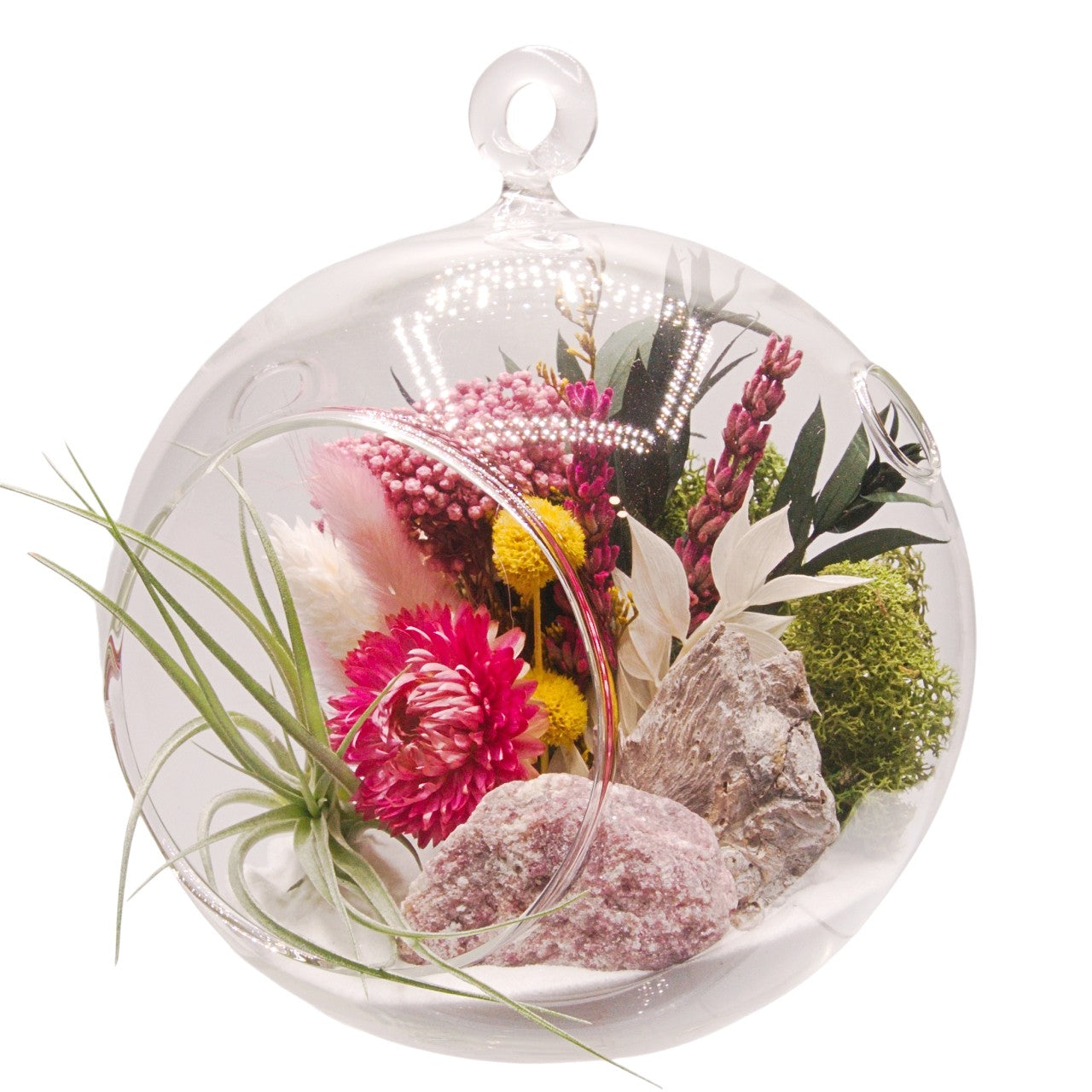 Terrarium à bulle avec une plante aérienne et un cristal rhodonite