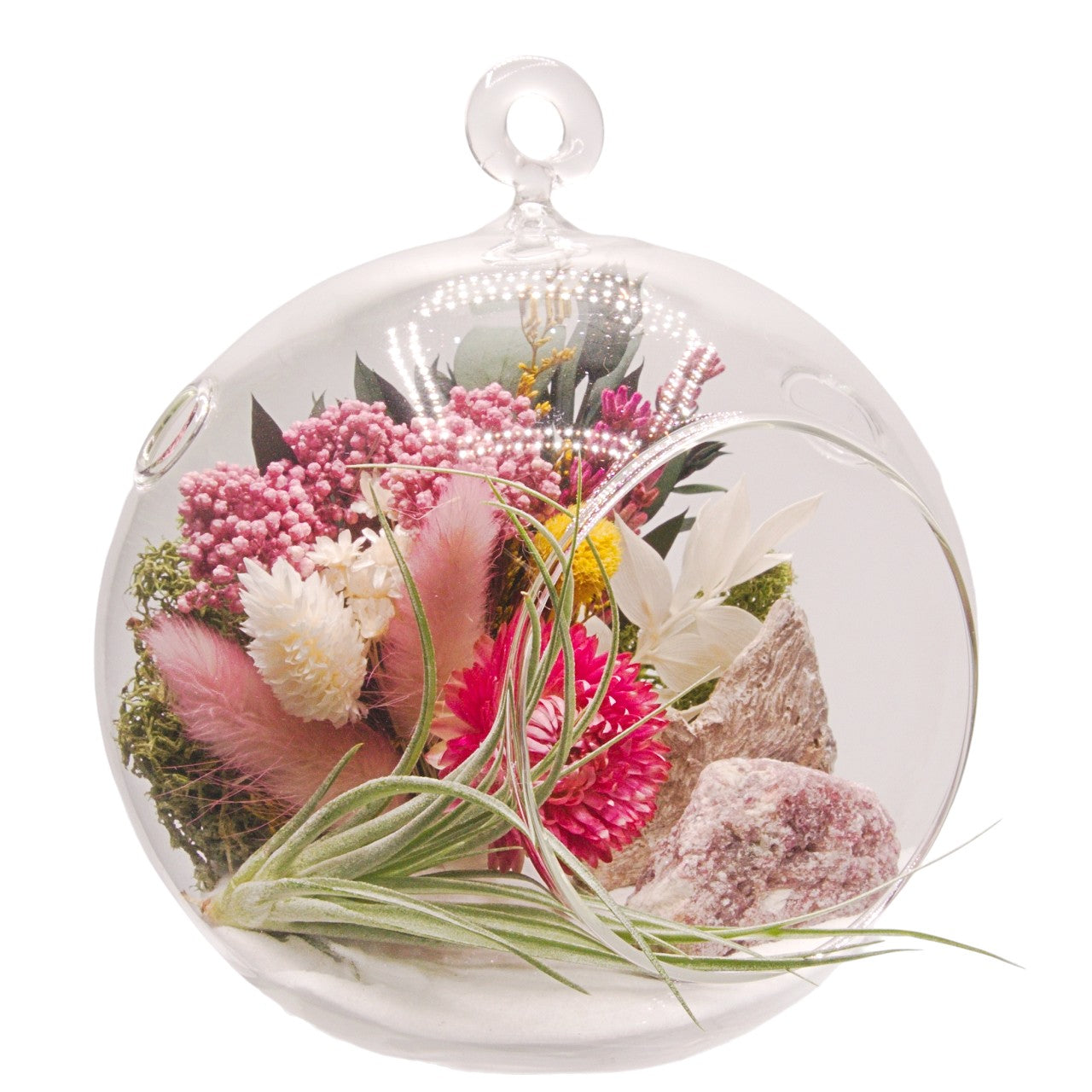Terrarium à bulle avec une plante aérienne et un cristal rhodonite