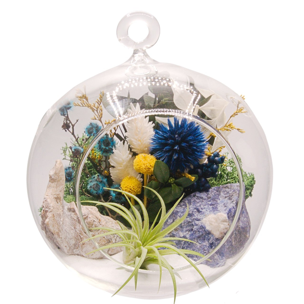 Terrarium à bulle avec une plante aérienne et un cristal sodalite