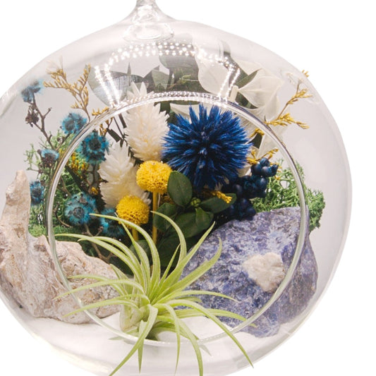 Terrarium à bulle avec une plante aérienne et un cristal sodalite