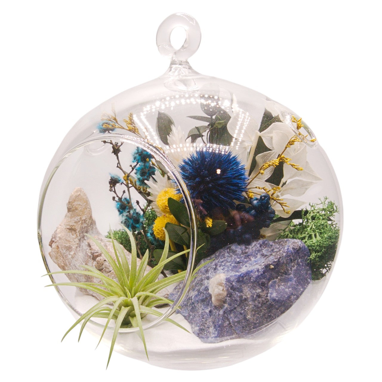 Terrarium à bulle avec une plante aérienne et un cristal sodalite