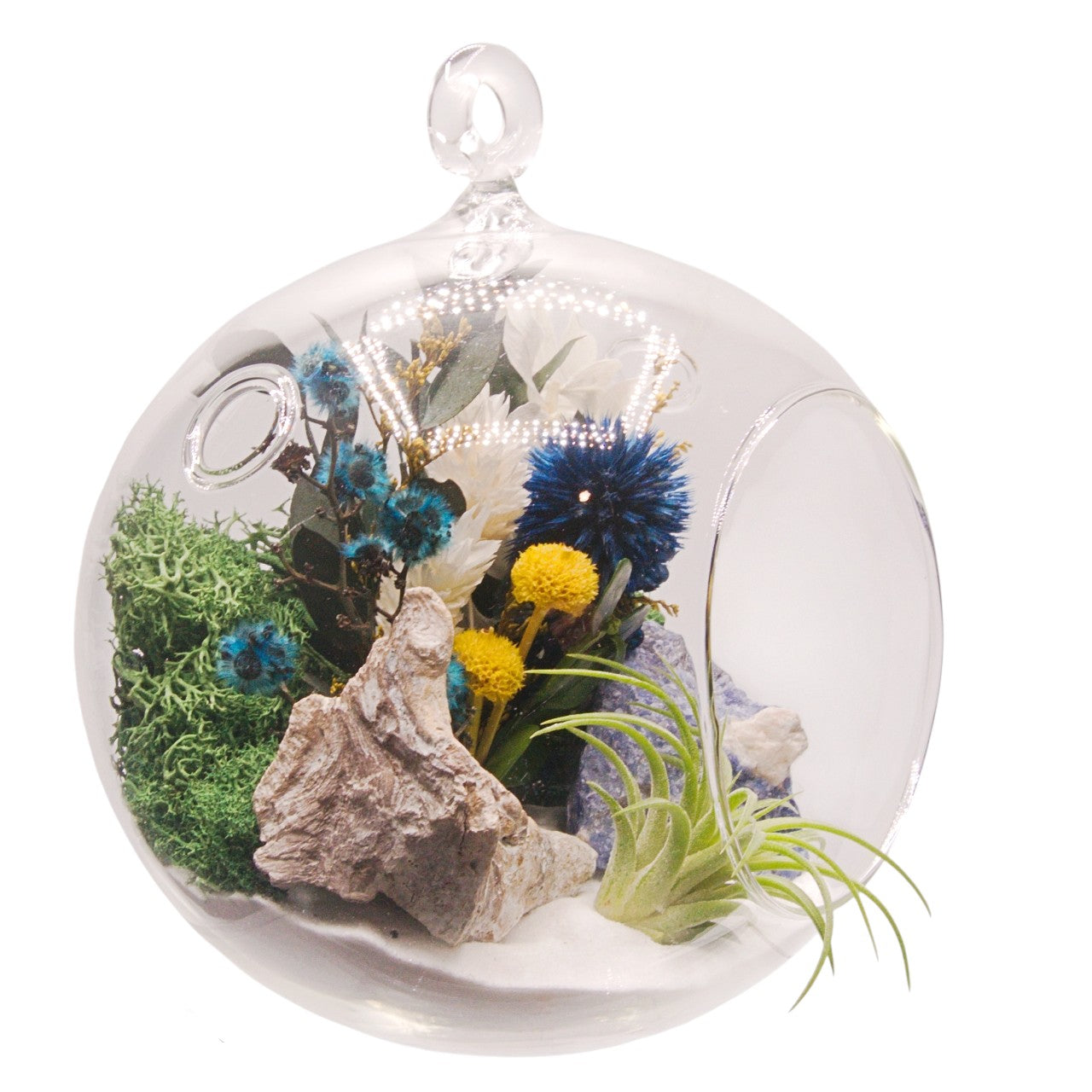 Terrarium à bulle avec une plante aérienne et un cristal sodalite