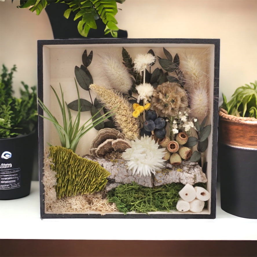 Square box frame with dried flowers, moss, dried mushrooms, wood and an airplant