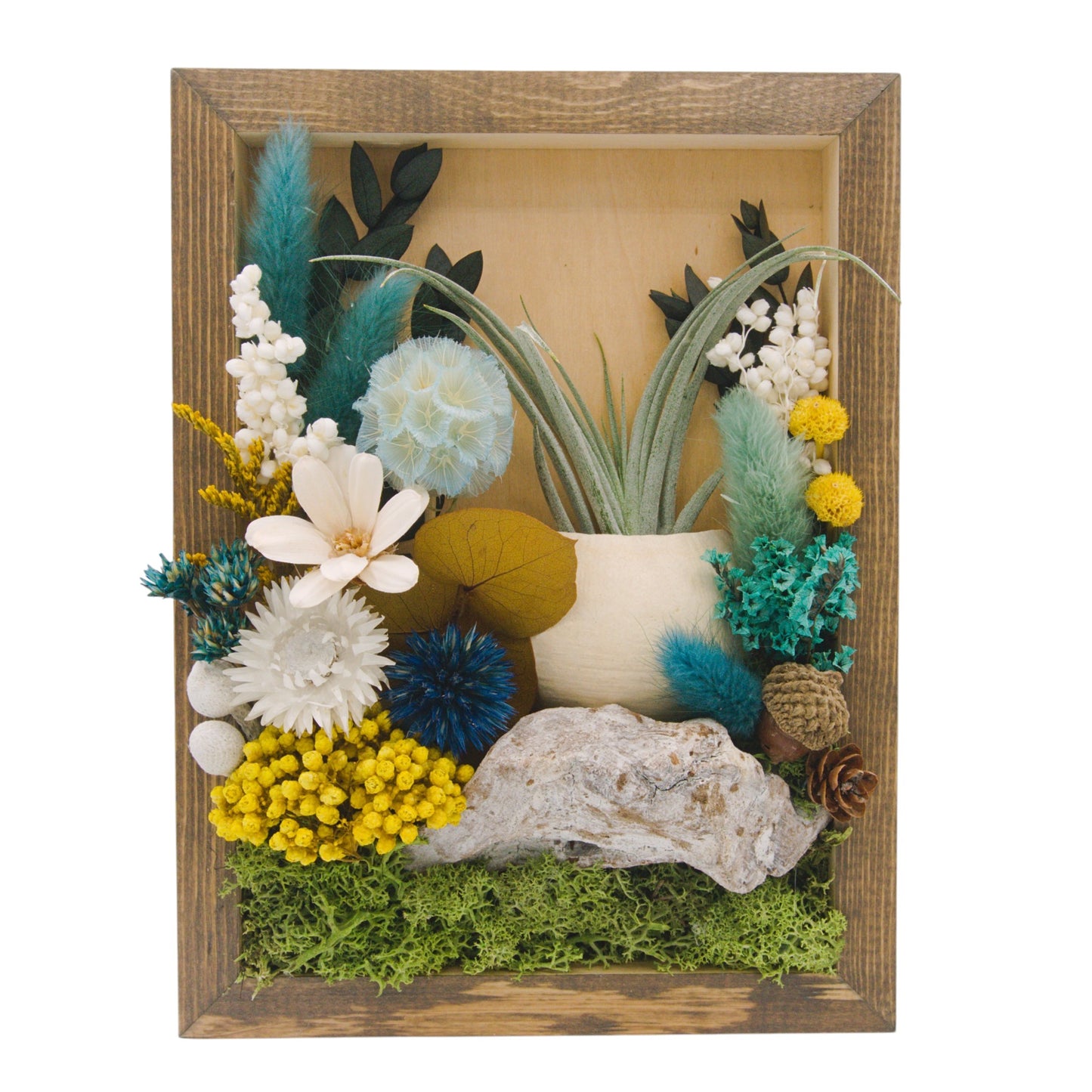 Airplant Landscape Frames - Turquoise Flowers