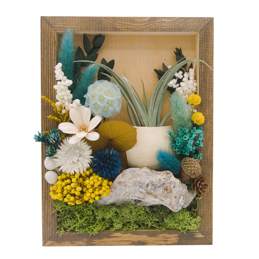 Airplant Landscape Frames - Turquoise Flowers