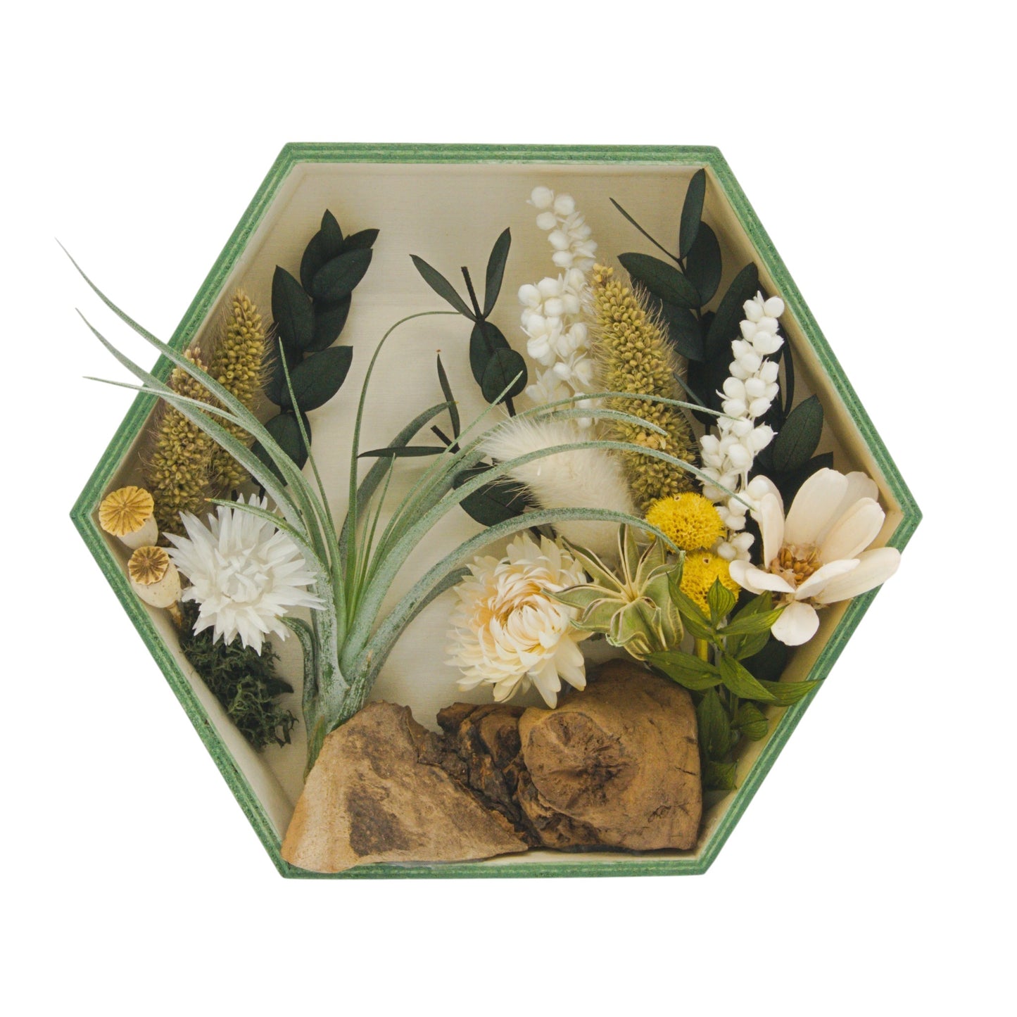Cadres paysagers avec plante aérienne - Hexagone cadre vert