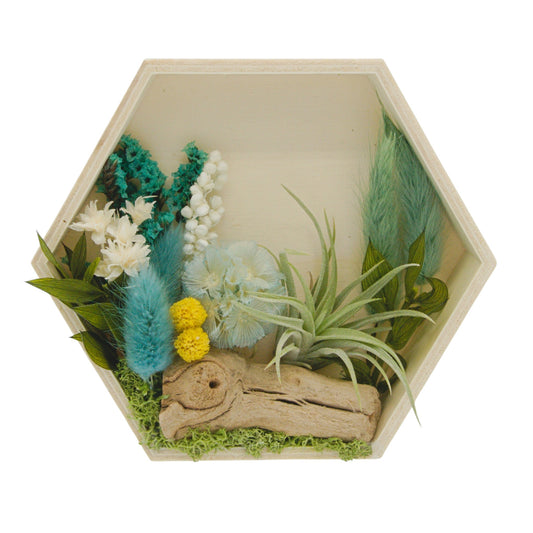 Cadres paysagers avec plante aérienne - Hexagone fleurs turquoises