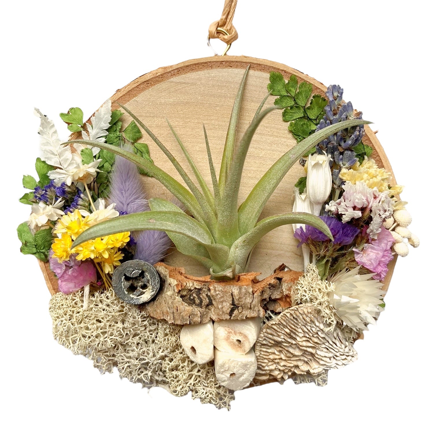 Birch wood plaque covered in dried flowers, moss, mushrooms and it includes an airplant