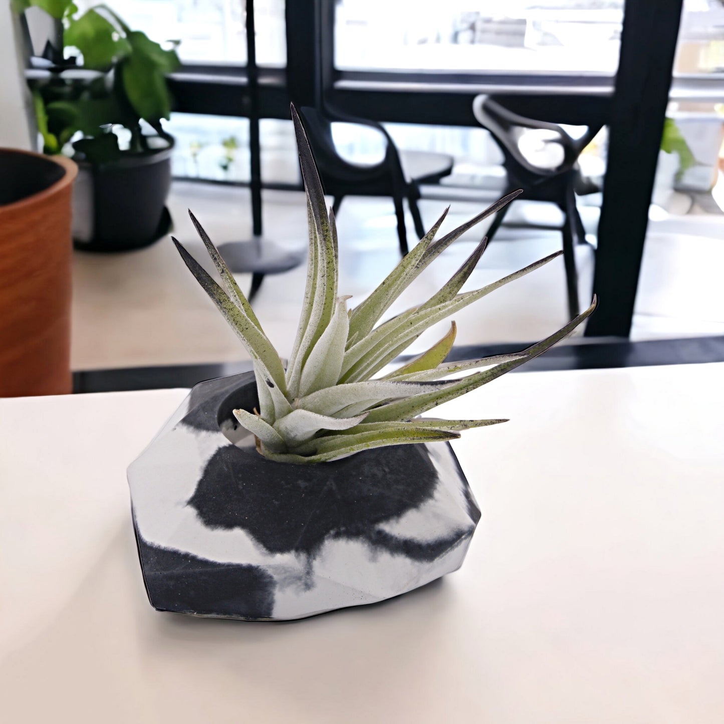 Black & White Cement Heart Airplant Pot