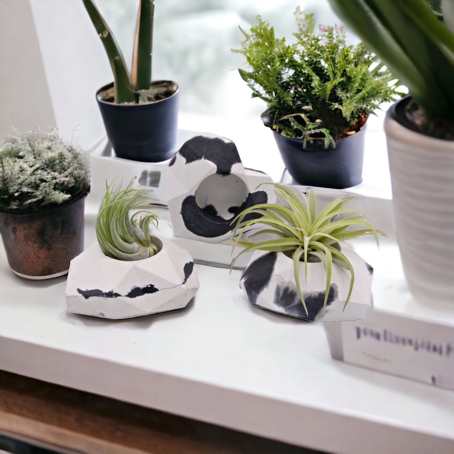 Black & White Cement Heart Airplant Pot