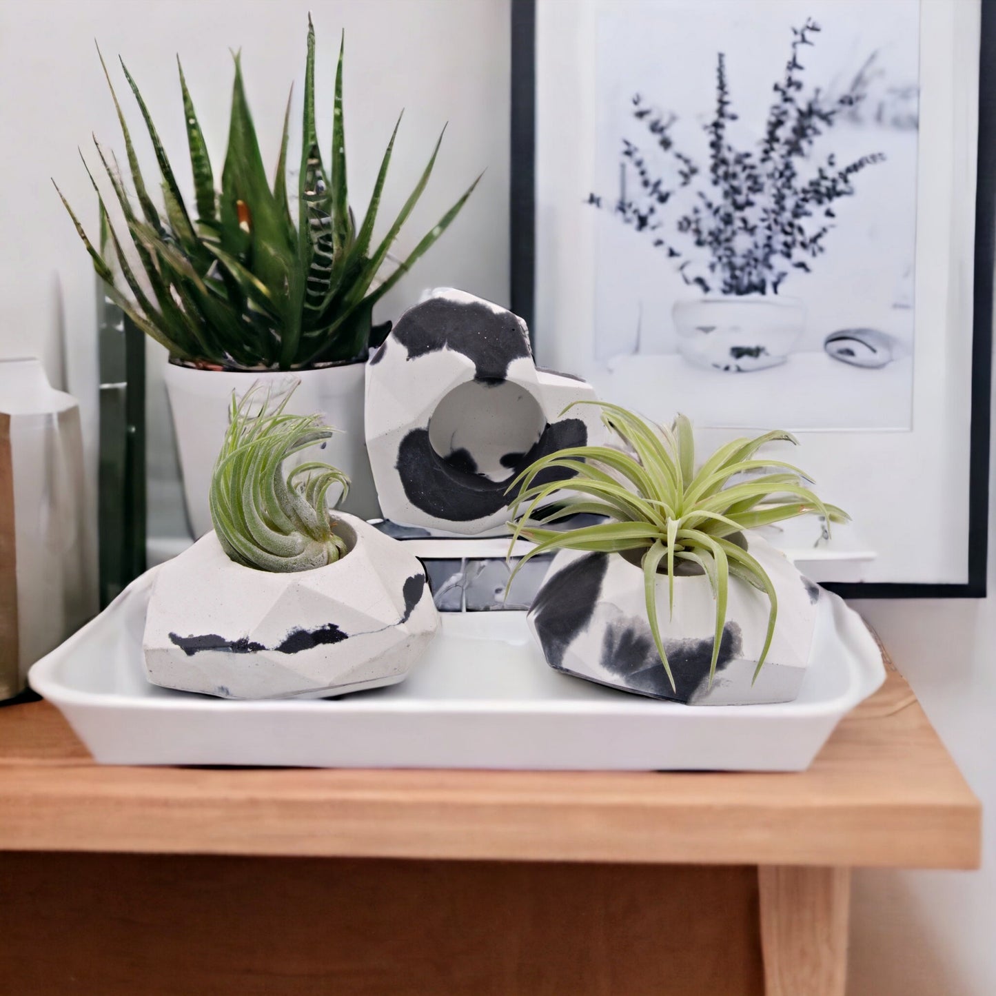 Black & White Cement Heart Airplant Pot