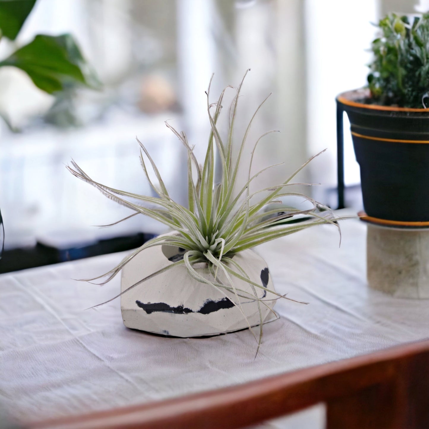 Black & White Cement Heart Airplant Pot
