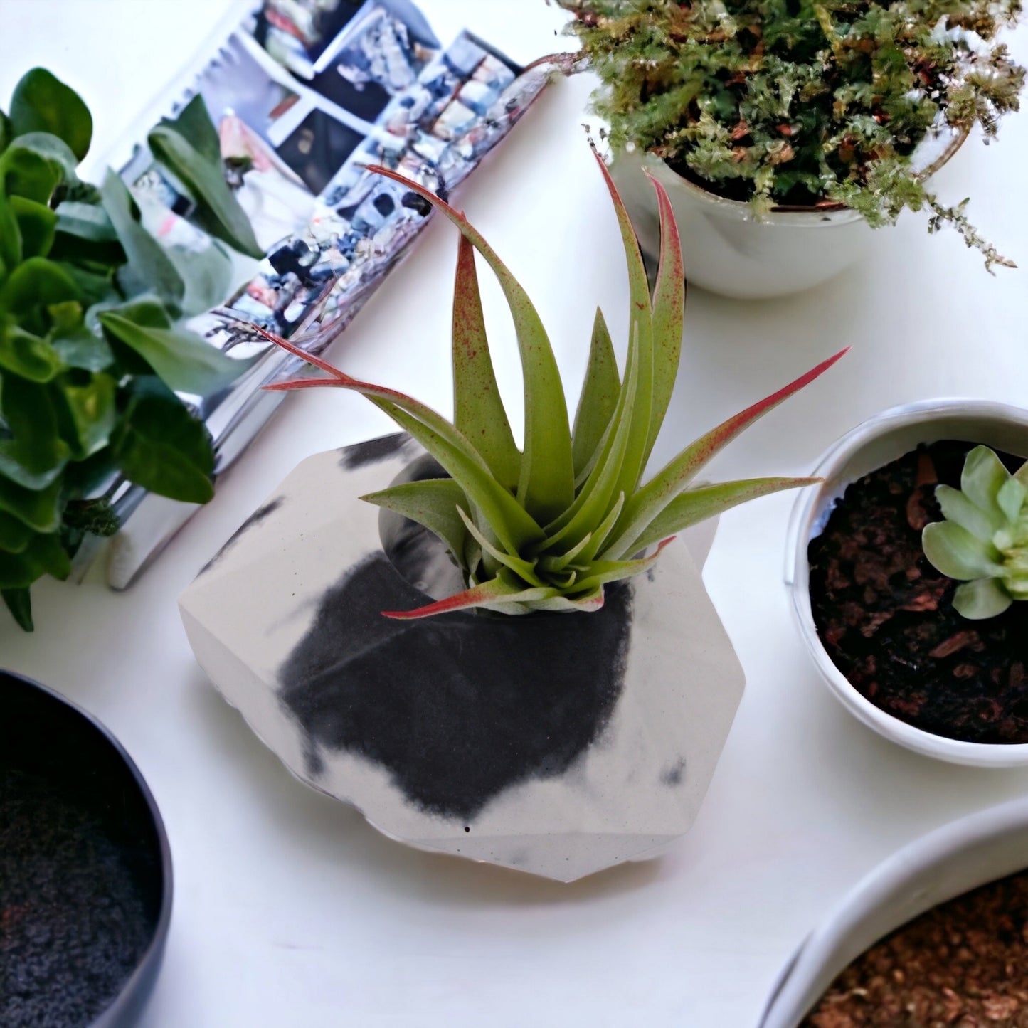 Black & White Cement Heart Airplant Pot