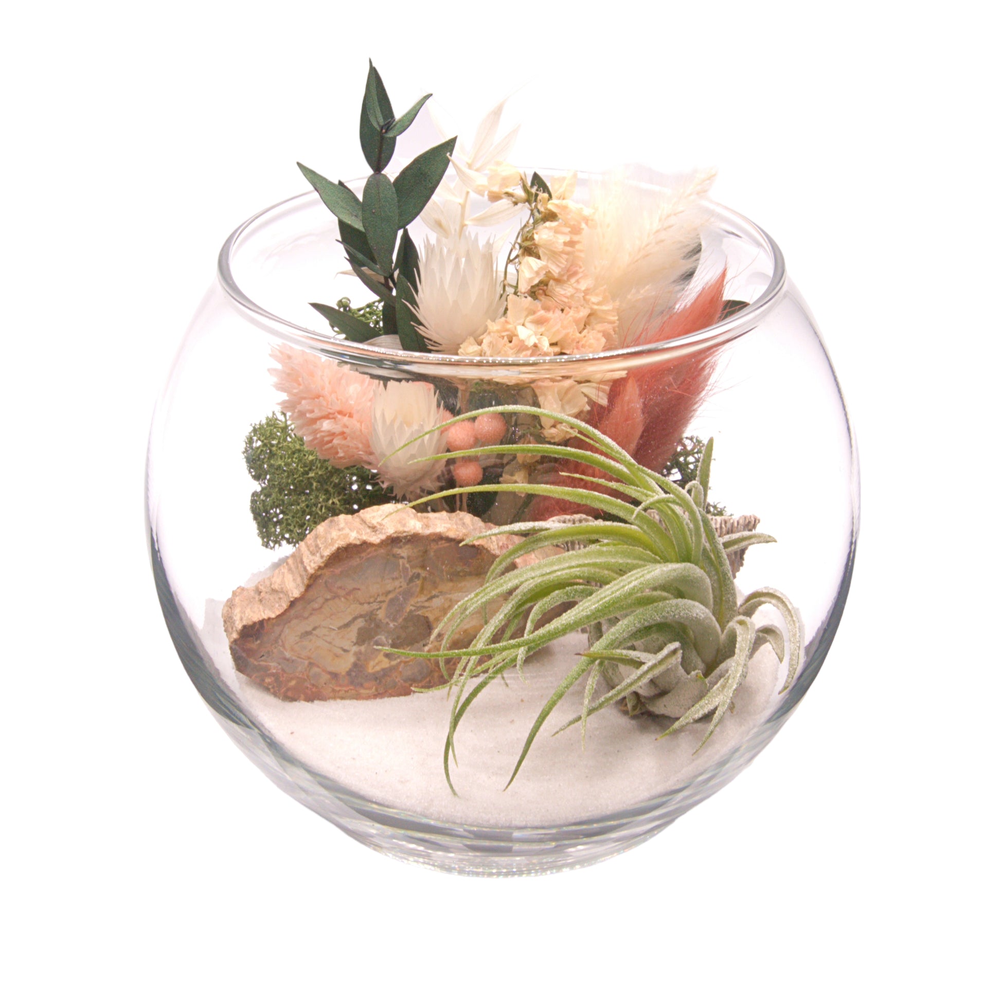 Glass bowl airplant terrarium with dried flowers and fossilized wood