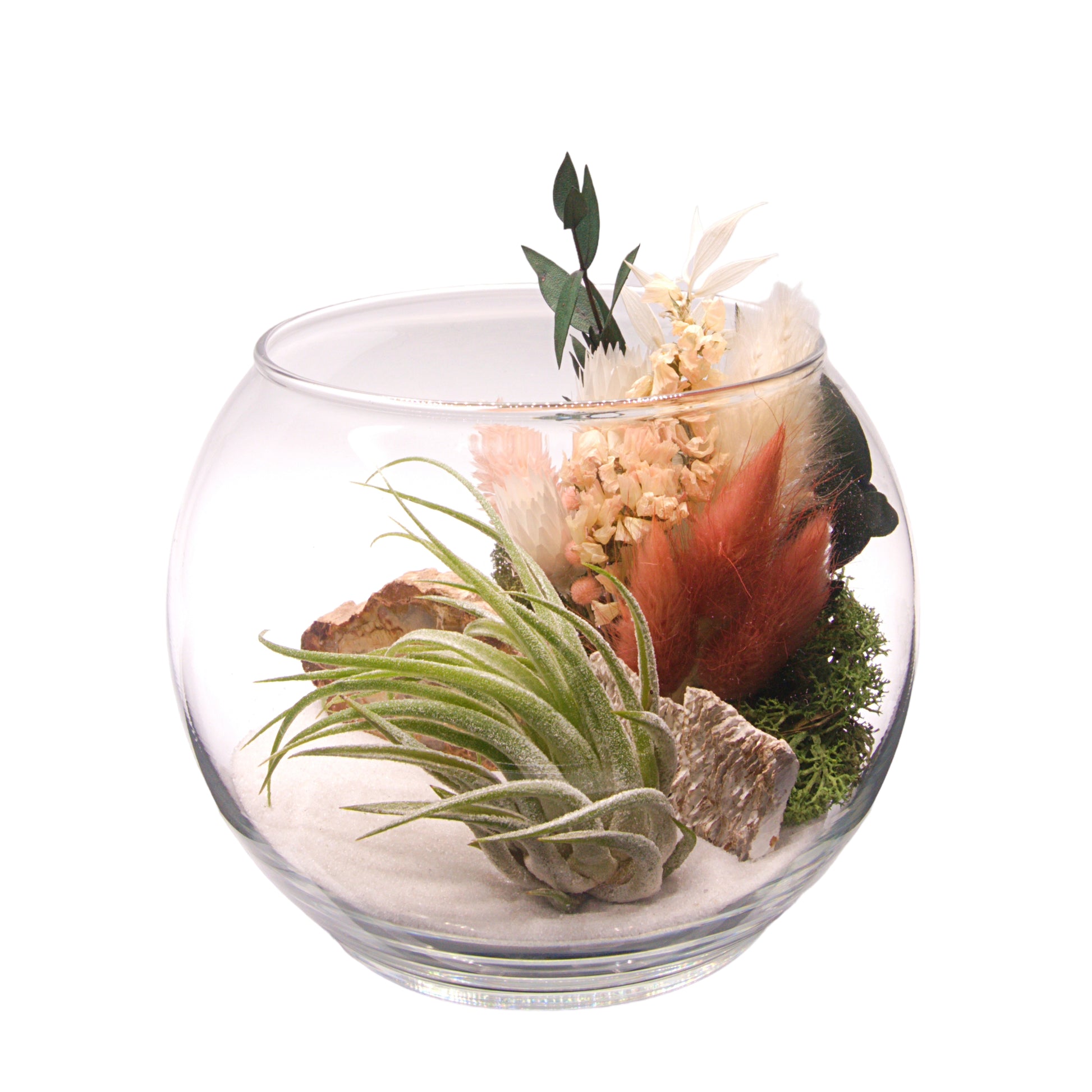 Glass bowl airplant terrarium with dried flowers and fossilized wood