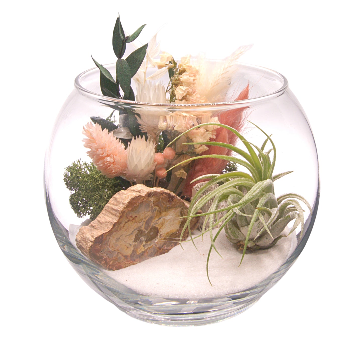 Glass bowl airplant terrarium with dried flowers and fossilized wood