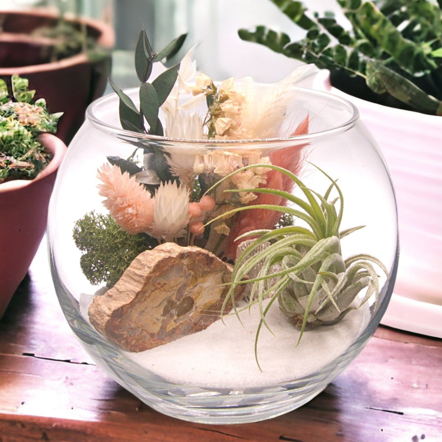 Glass bowl airplant terrarium with dried flowers and fossilized wood