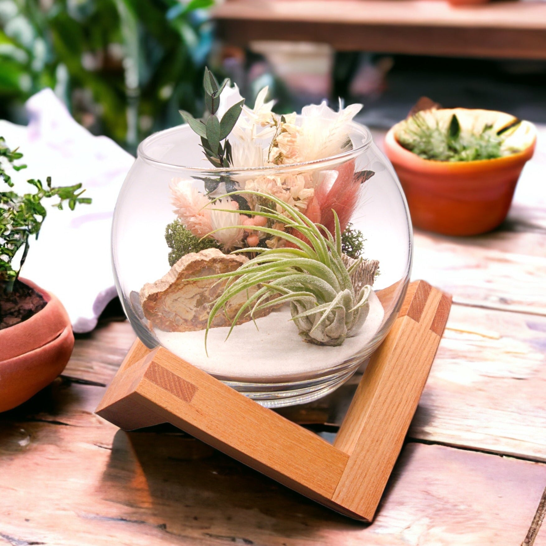 Glass bowl airplant terrarium with dried flowers and fossilized wood