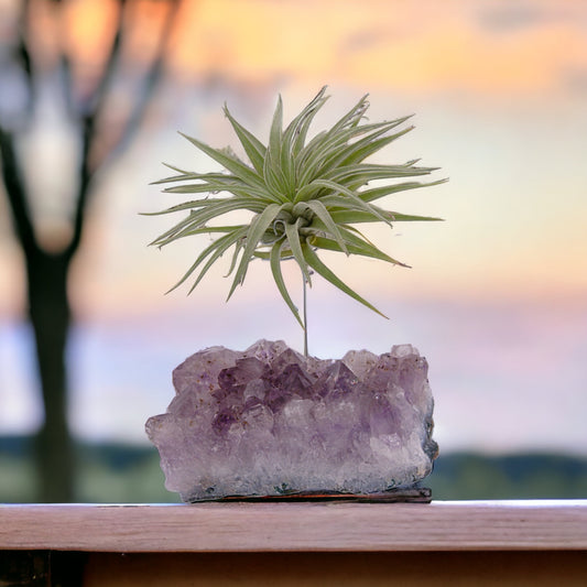 Amethyst crystal airplant holder