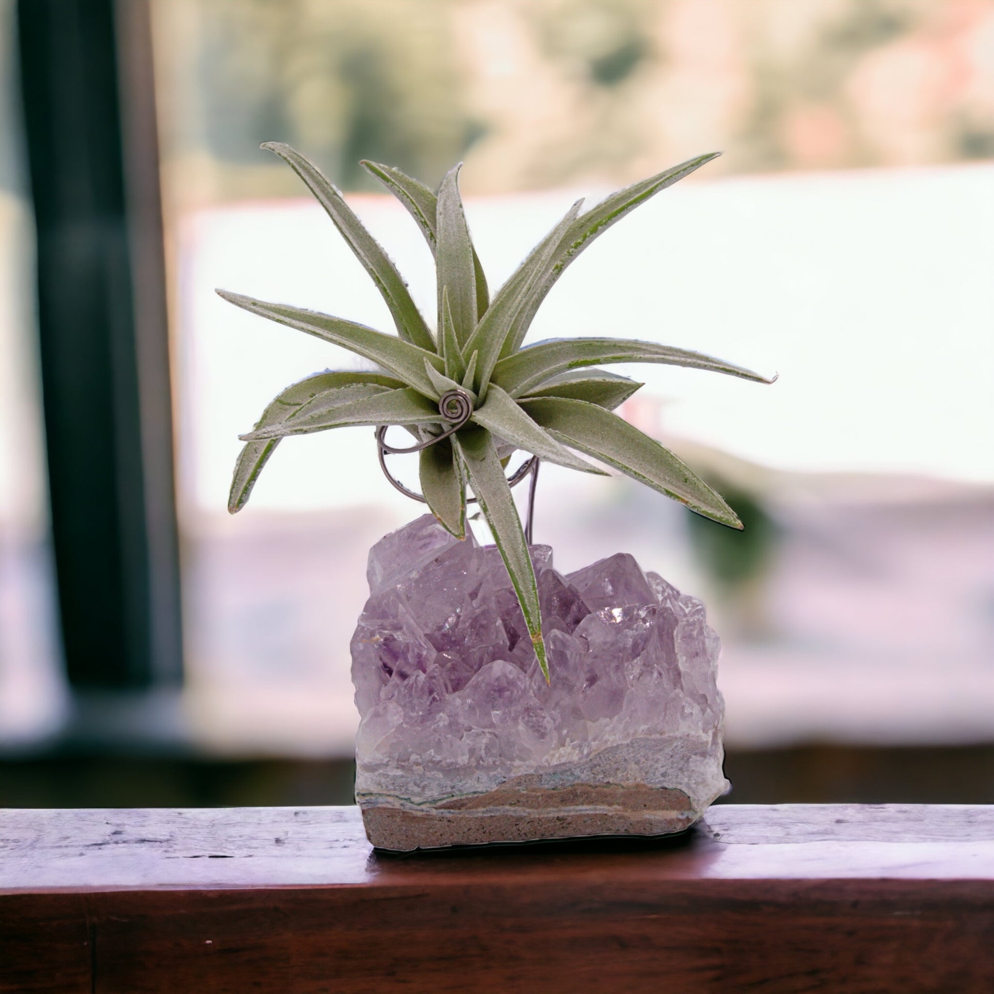 Amethyst crystal airplant holder