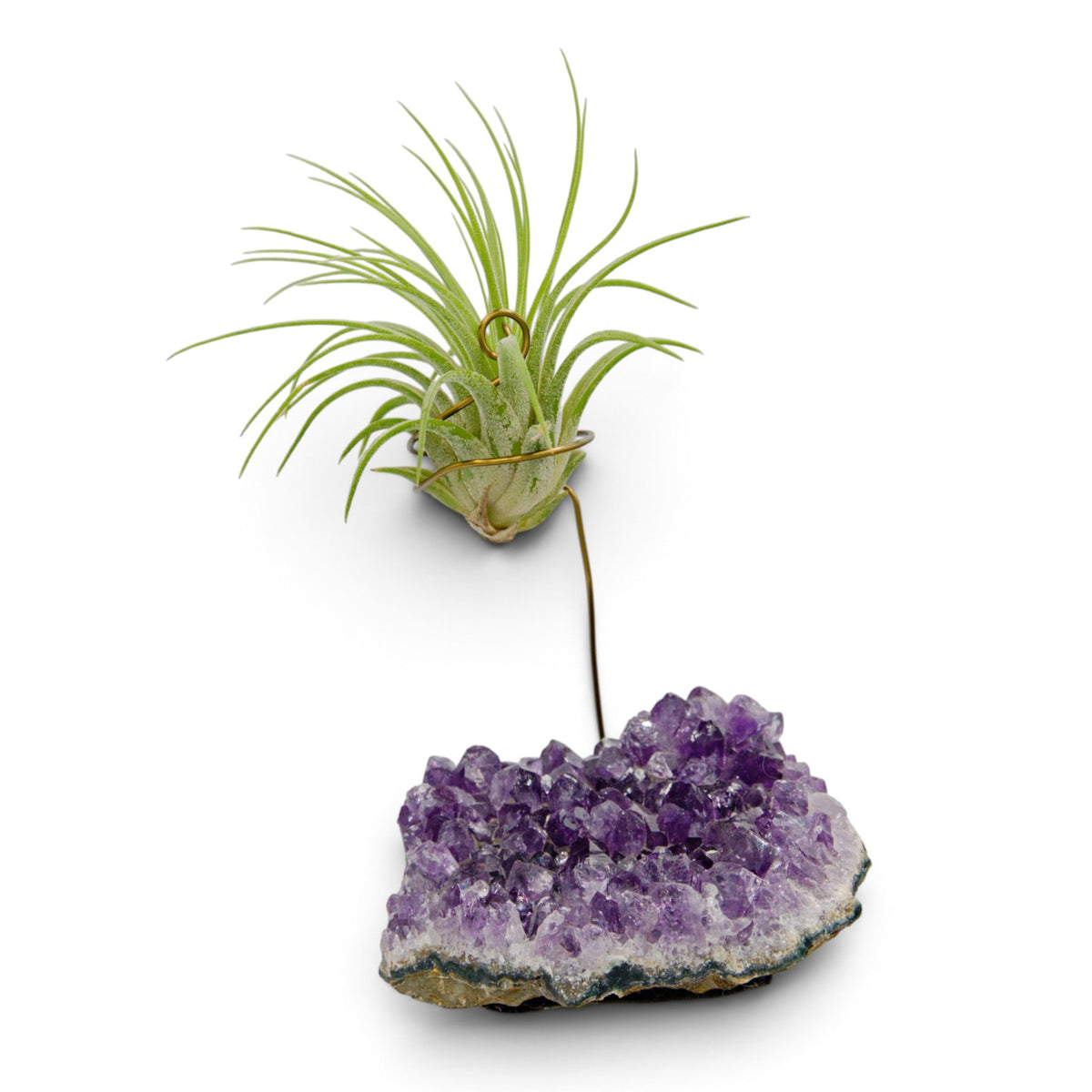 Support en Cristal d'améthyste avec une plante aérienne
