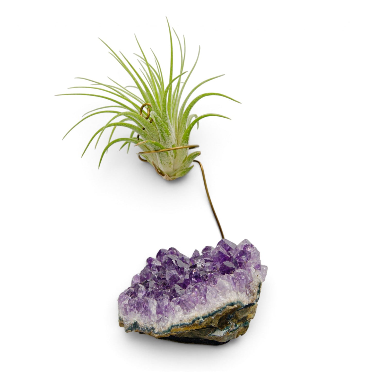 Support en Cristal d'améthyste avec une plante aérienne