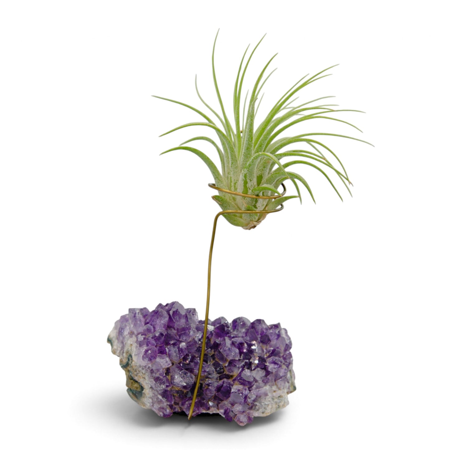 Support en Cristal d'améthyste avec une plante aérienne