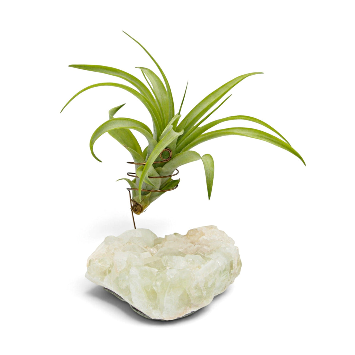 A small green airplant in a wire holder suspended above a white and peachy coloured crystal
